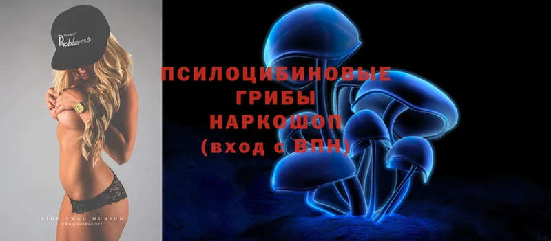 Галлюциногенные грибы MAGIC MUSHROOMS  блэк спрут вход  Богданович 